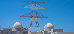 Barakah Nuclear Energy Plant’s Unit 2 Startup Impressive: OECD